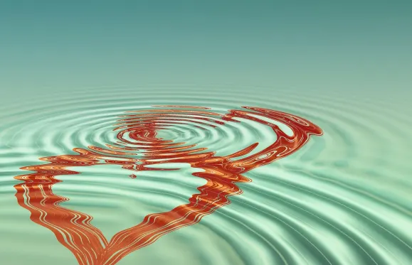 카지노 도브 슬롯츠 지원